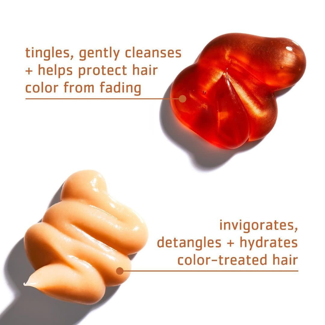 Shampoing couleur "Special Color" - Revigorant anti-terne