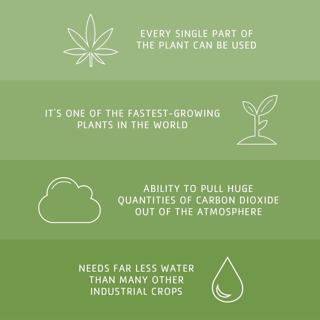 Revitalisant et lotion pour le corps "Tea Tree Hemp Restoring" - Hydratation 2 en 1