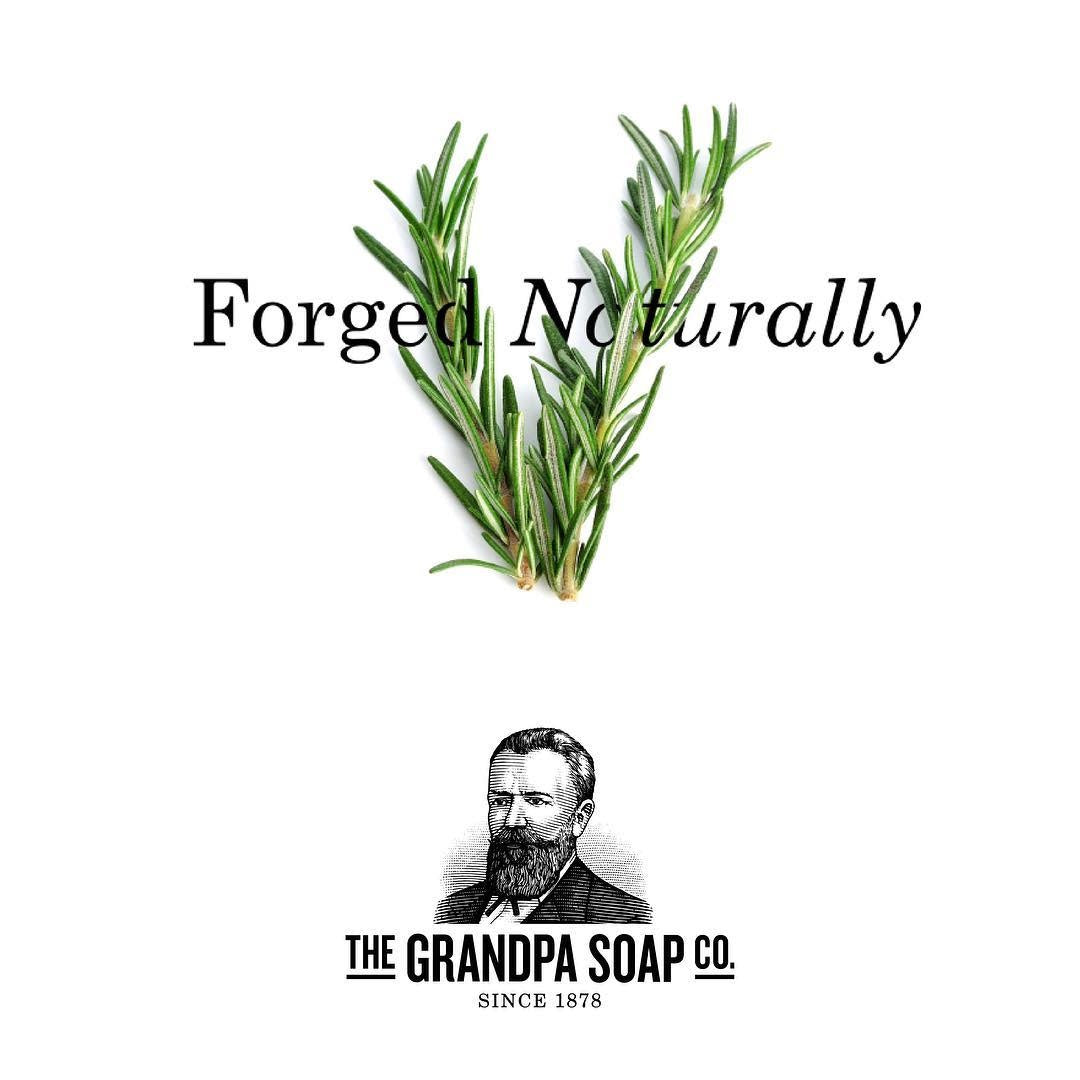 Shampoing "Rosemary Purify" rafraîchit et rétablit l'équilibre - Pour tous types de cheveux (235ml/8.0oz)