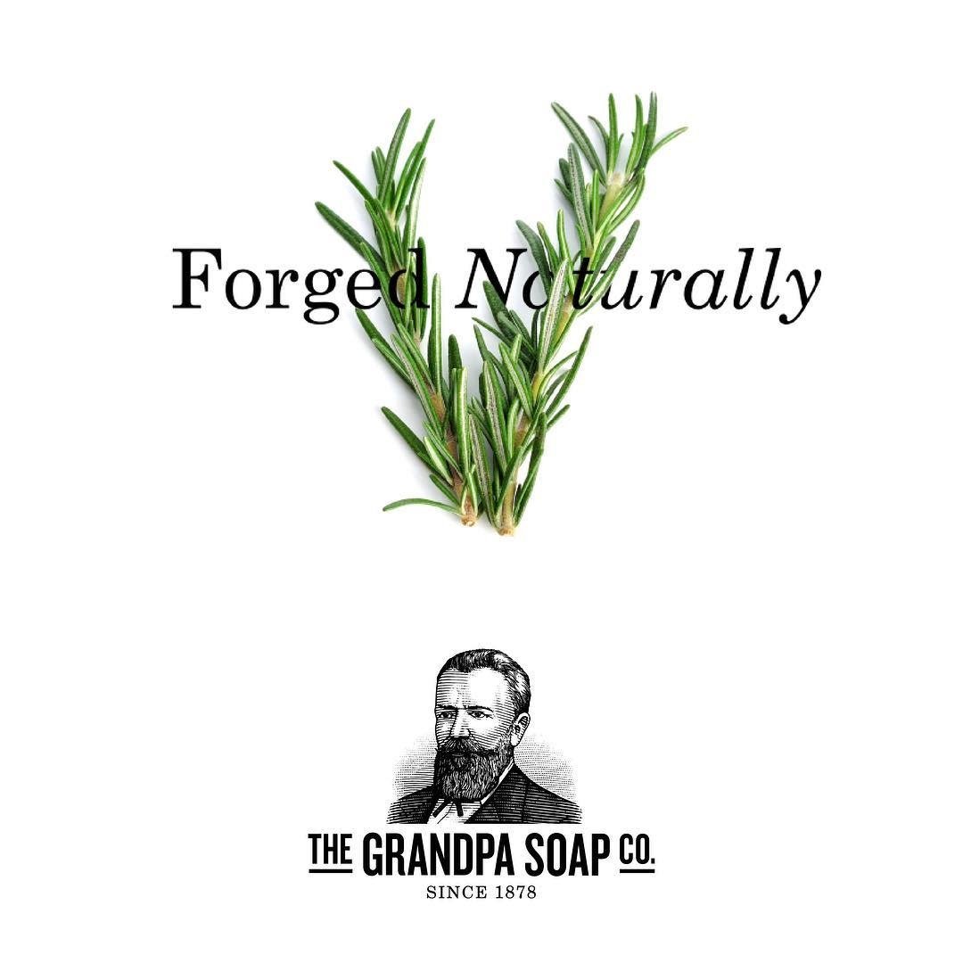 Revitalisant "Pine Tar Scalp Therapy" apaise et hydrate - Pour le cuir chevelu et les cheveux secs (235ml/8.0oz)