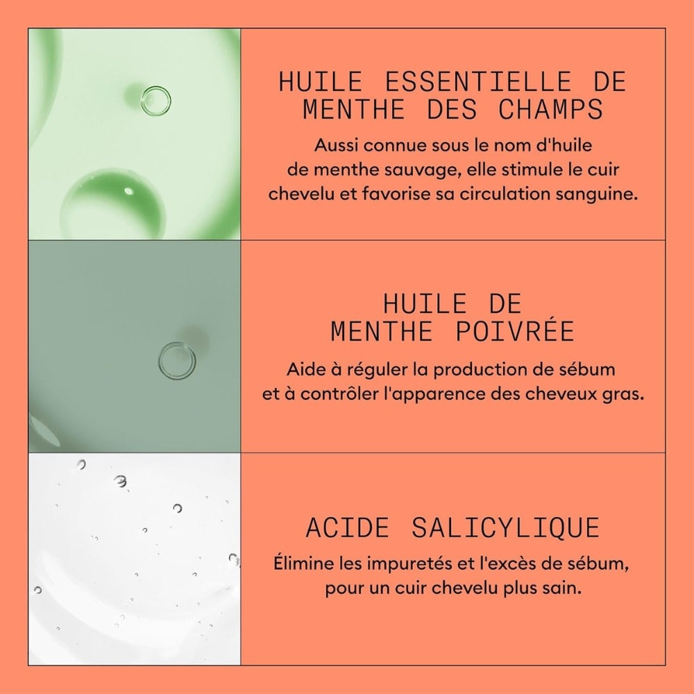 Shampoing cheveux + cuir chevelu Système 4 - Pour cheveux colorés avec chute avancée