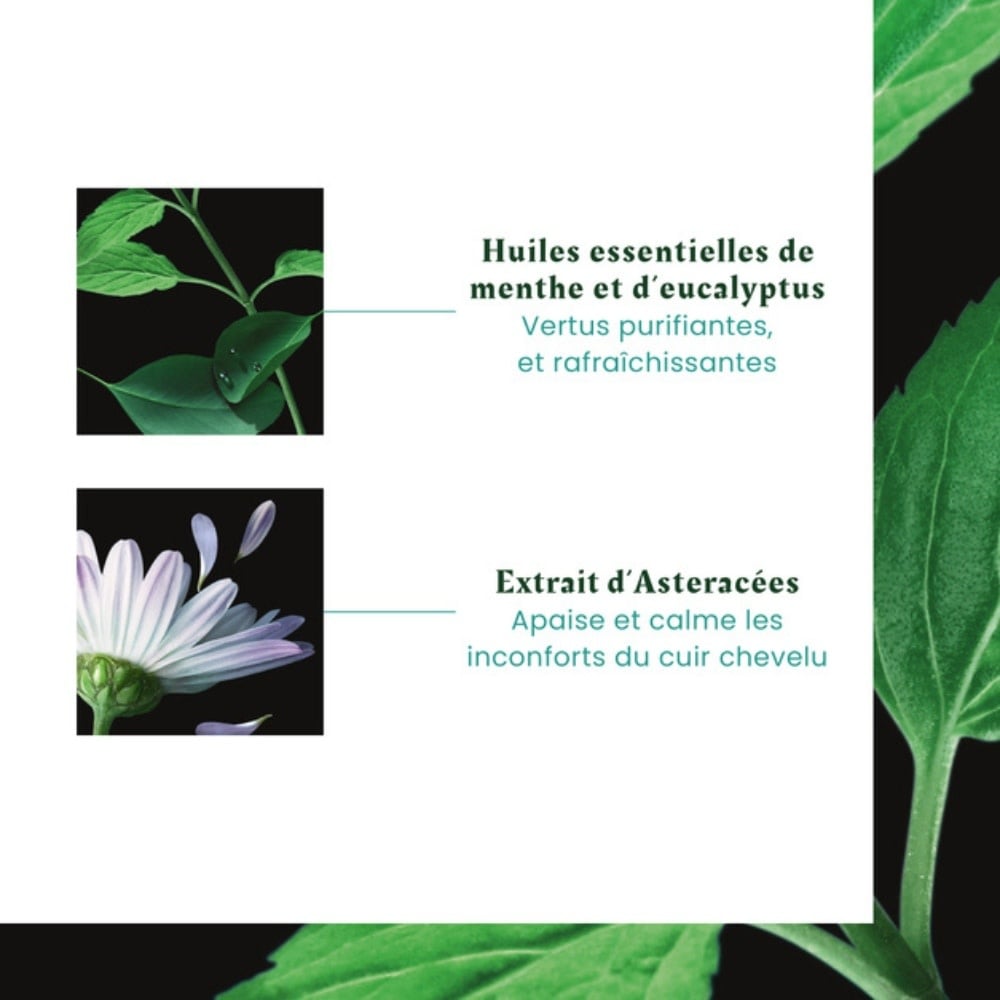 Shampoing apaisant fraîcheur "Astera Fresh" aux huiles essentielles froides - Pour cuir chevelu irrité