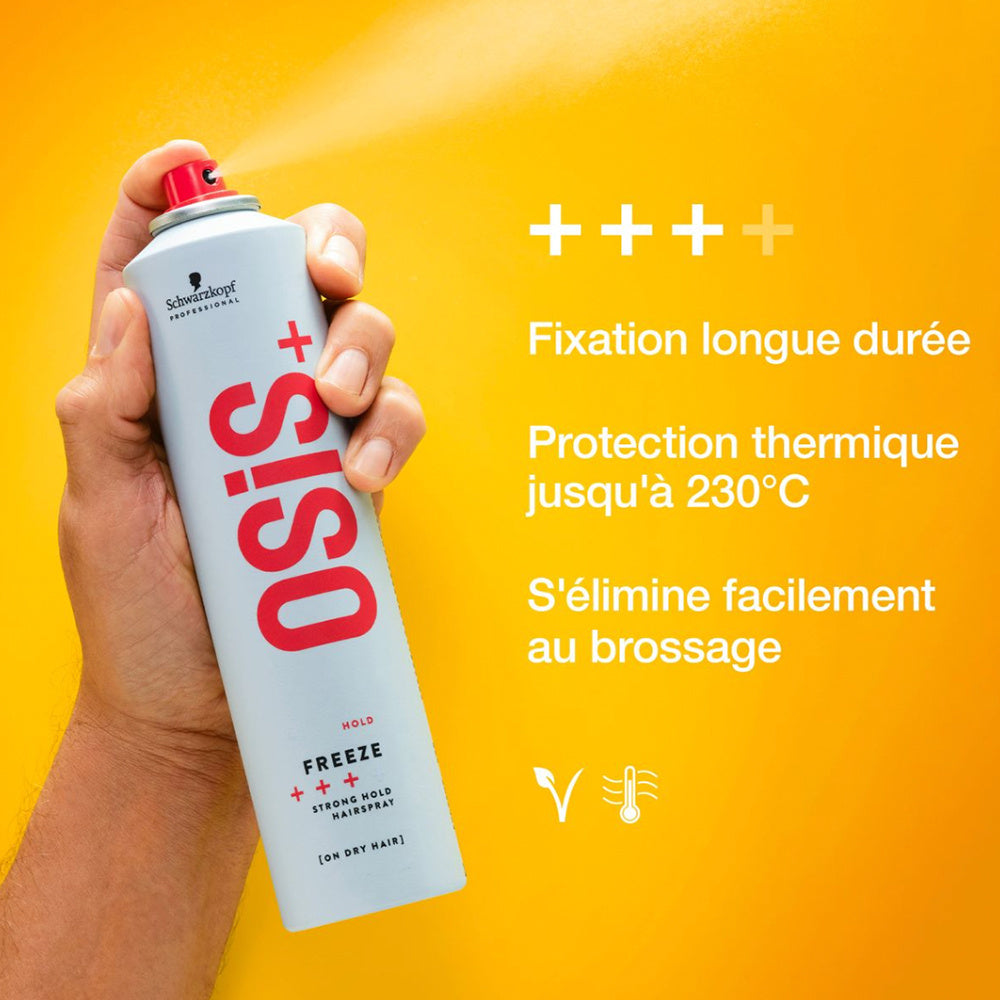 Fixatif tenue forte "Hold Freeze" - Écran anti-humidité et protection thermique (300ml/10.1oz)