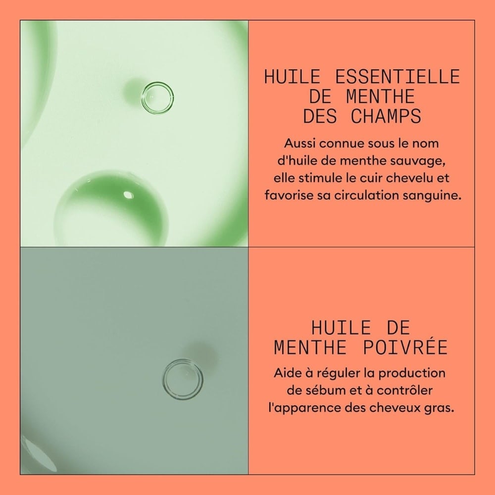 NIOXIN - Revitalisant cheveux + cuir chevelu Système 4 - Pour cheveux colorés avec chute avancée