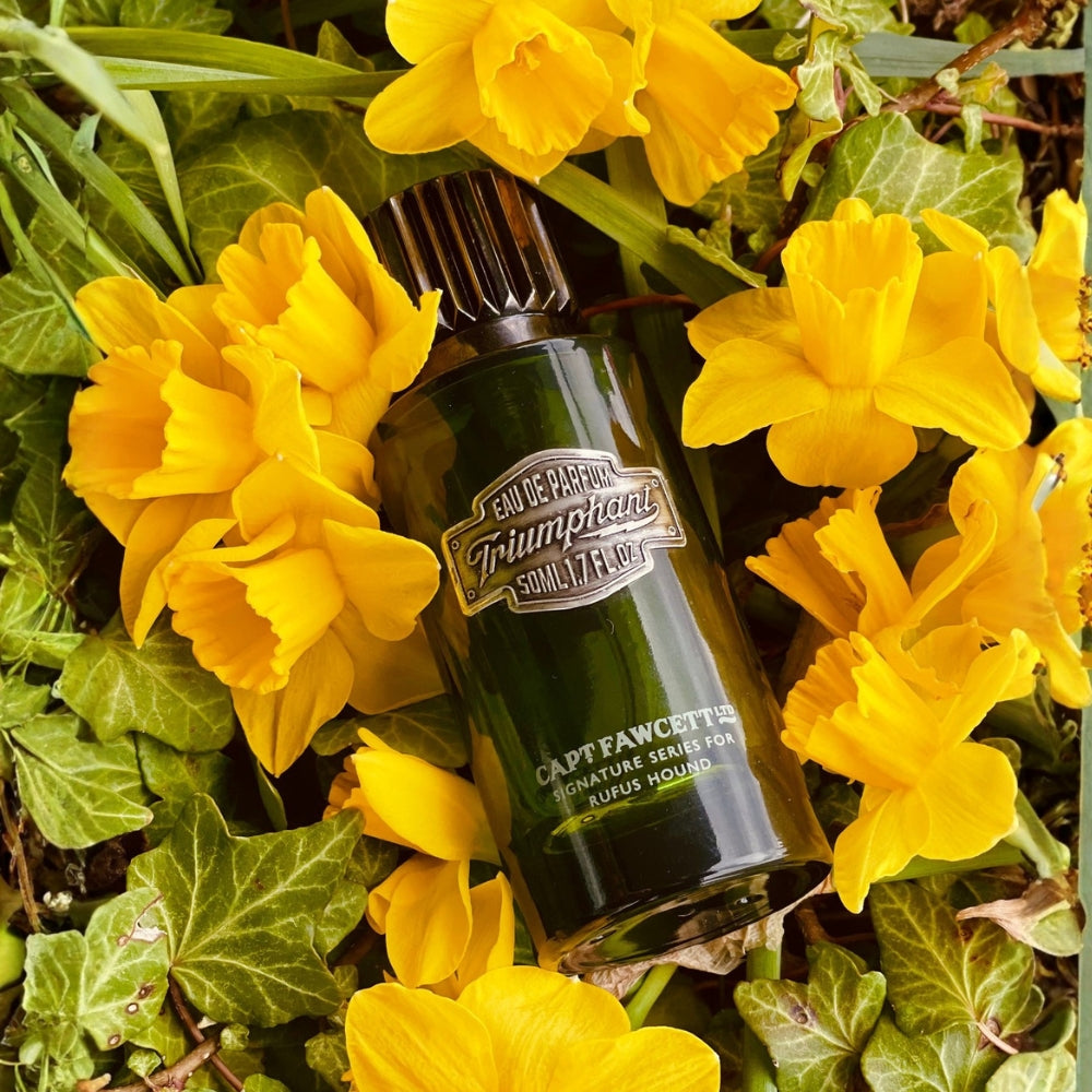 Triumphant Eau de parfum by Rufus Hound's