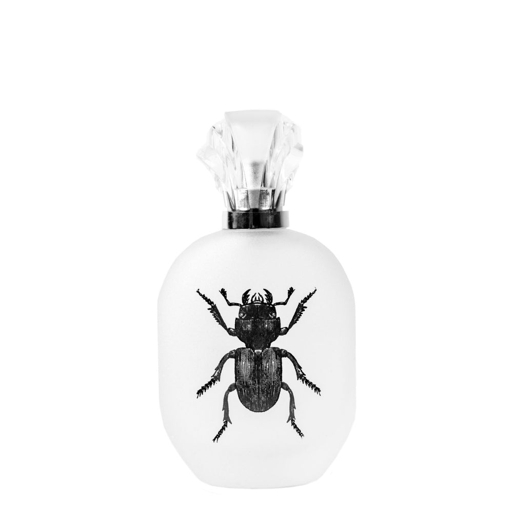 Eau de parfum Alessandro Manfredini