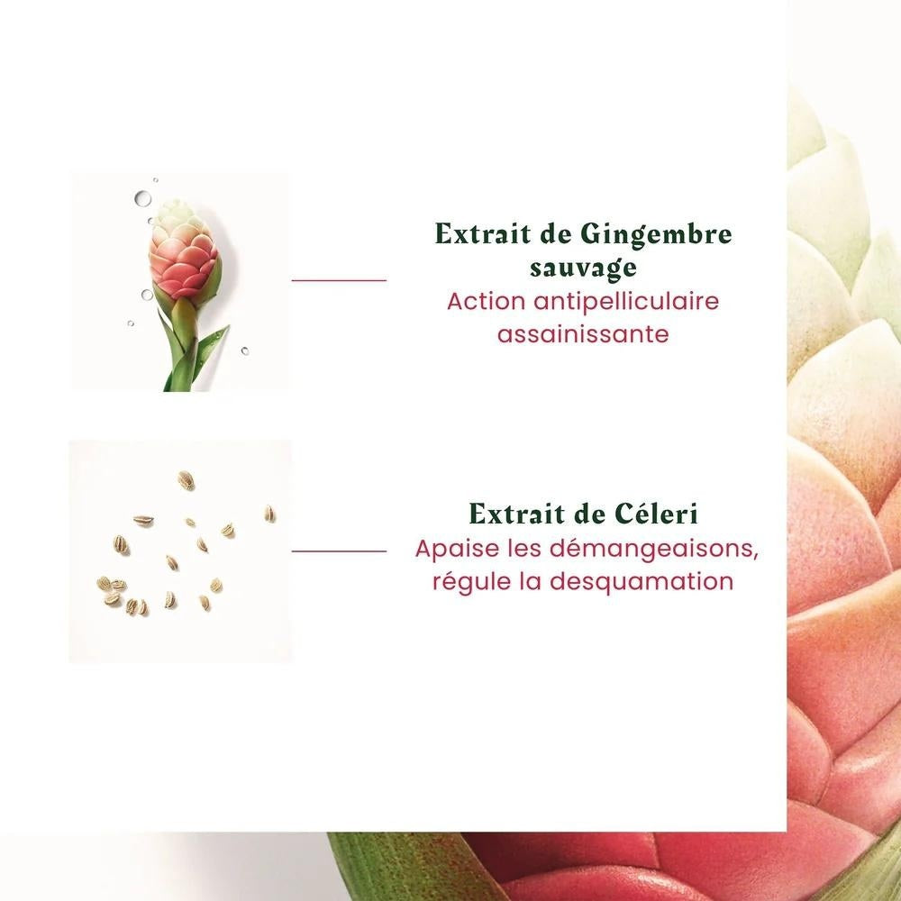 Shampoing antipelliculaire "Neopur" pellicules sèches