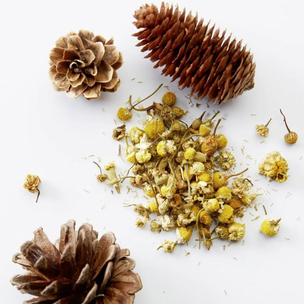 3-in-1 Chamomile + Pine Shampoo 
