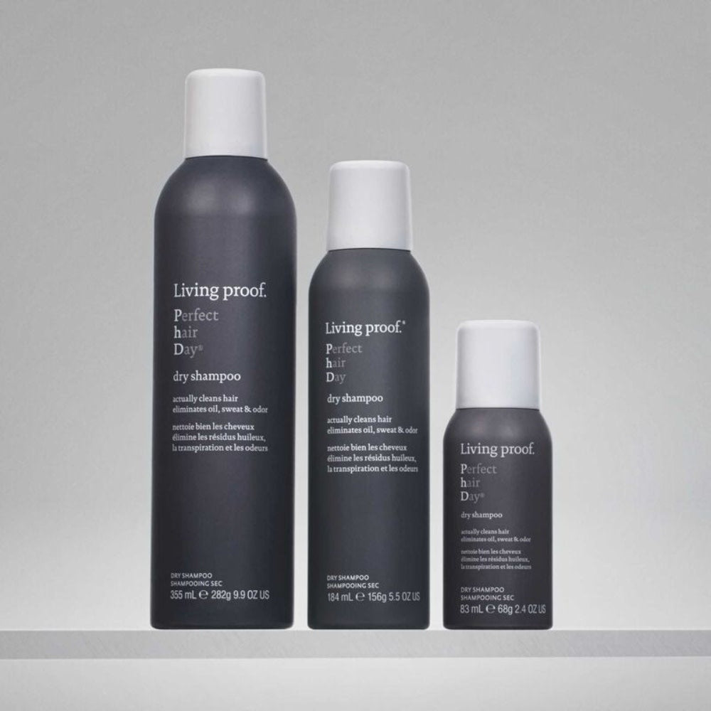 Perfect hair Day dry Shampoo