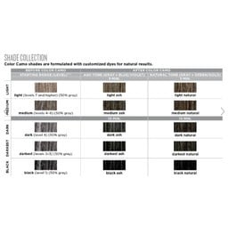 Camouflage des cheveux gris sur mesure "Color Camo" en 5 minutes (60ml/2.0oz) - Cendré noir