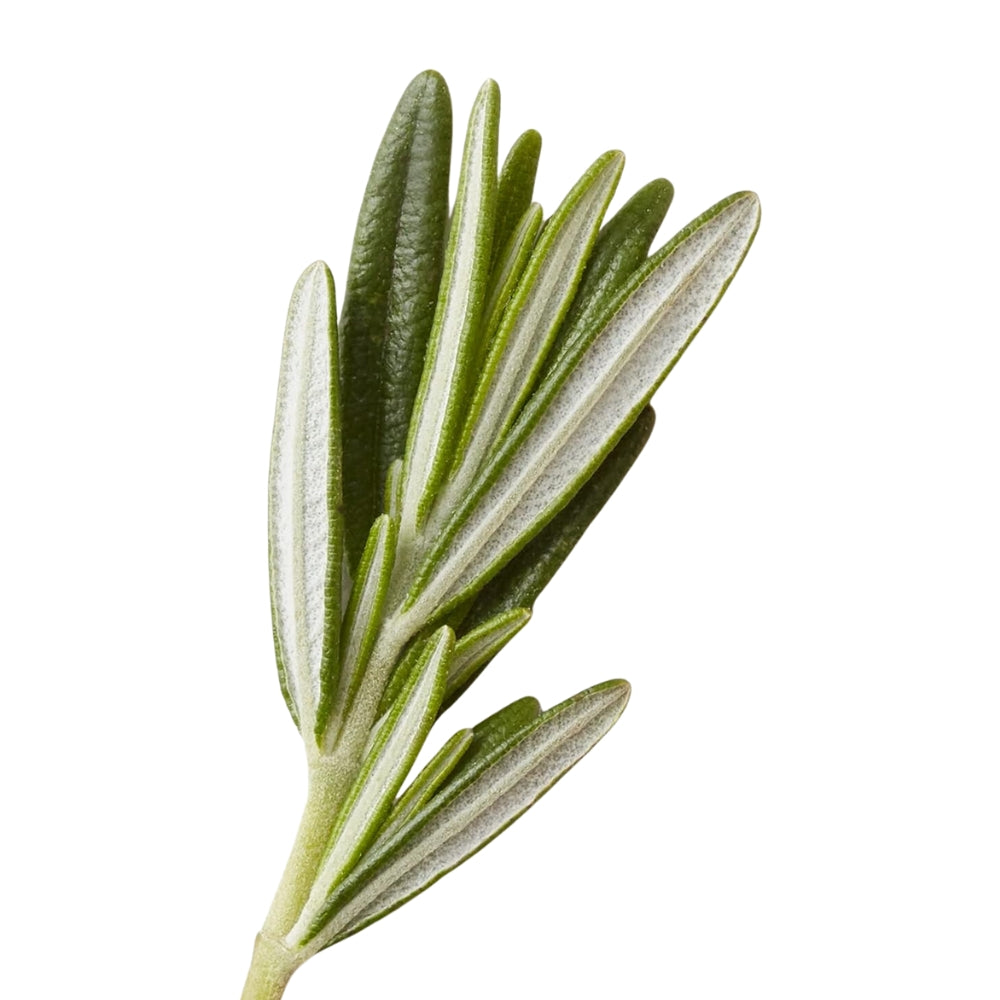 Pâte d'argile mate "Stucco" - Tenue souple, fini mat (75ml/2.5oz)