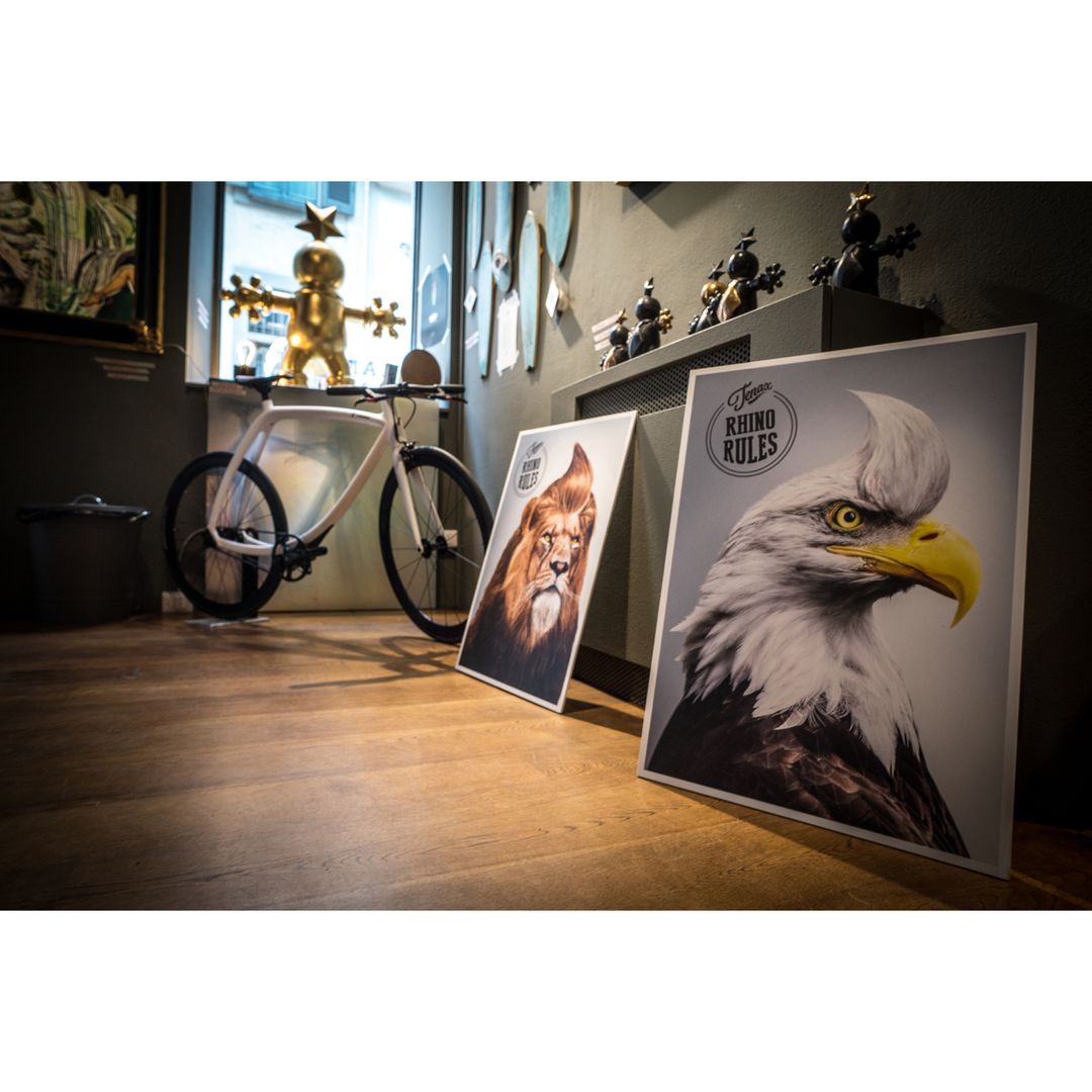 Shampooing quotidien au menthol "Extreme Freshness" (250ml/8.4oz)