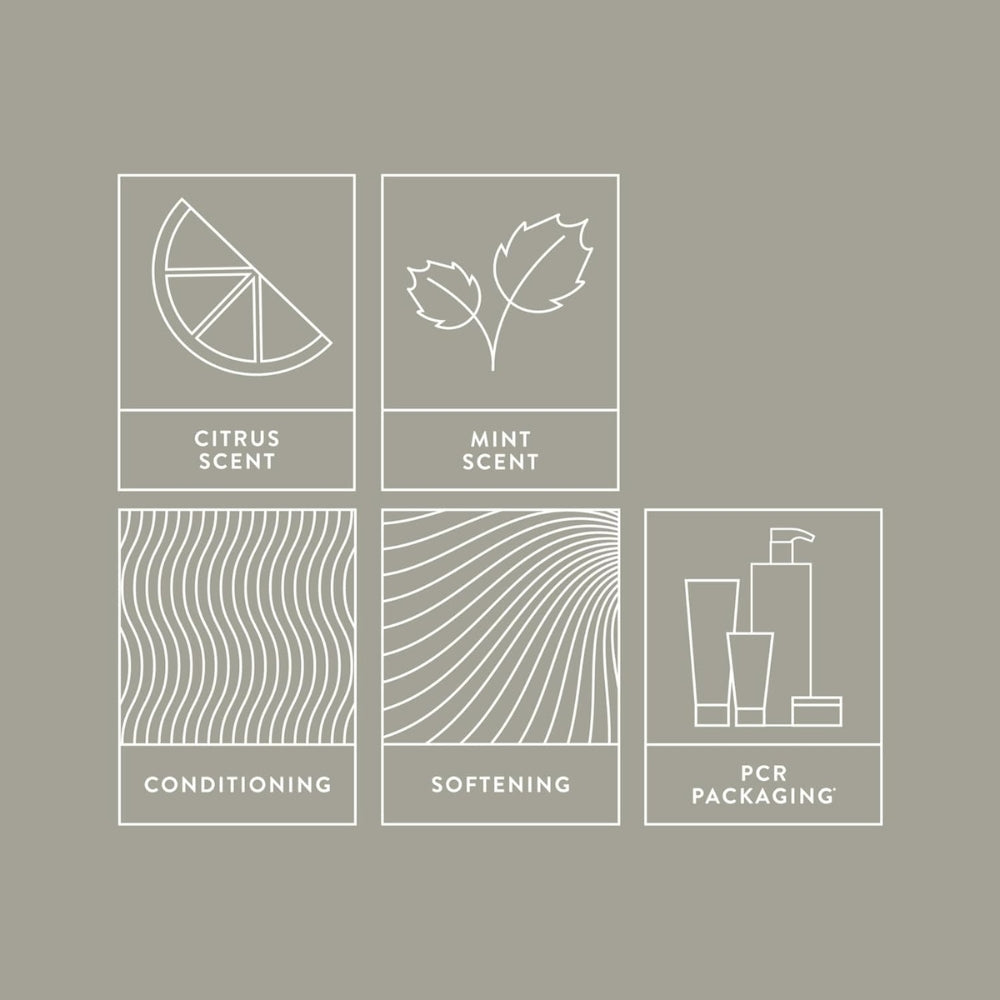 Shampoing revitalisant 2 en 1 "Double Hitter" - Nettoie et revitalise en un seul geste (1000ml/33.8oz)