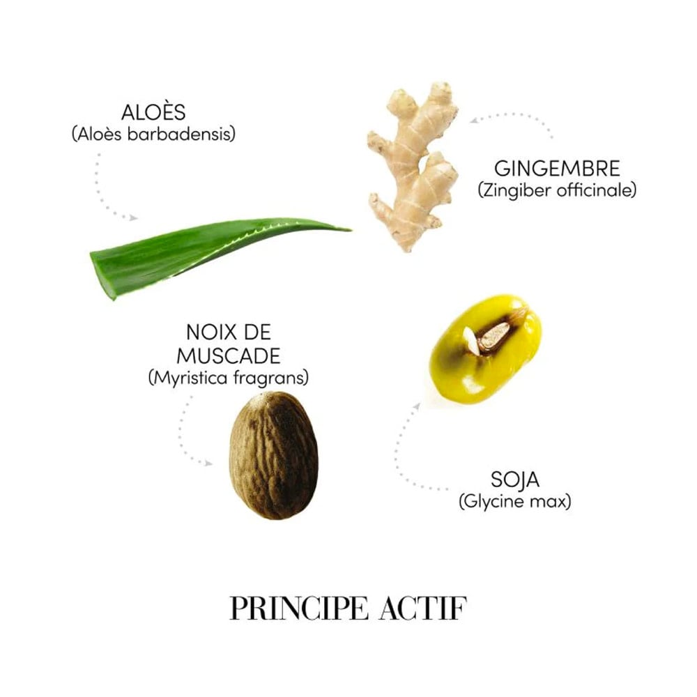 Shampoing sébo-équilibrant "Requilibre" - Pour cuir chevelu avec excès de sécrétion sébacée