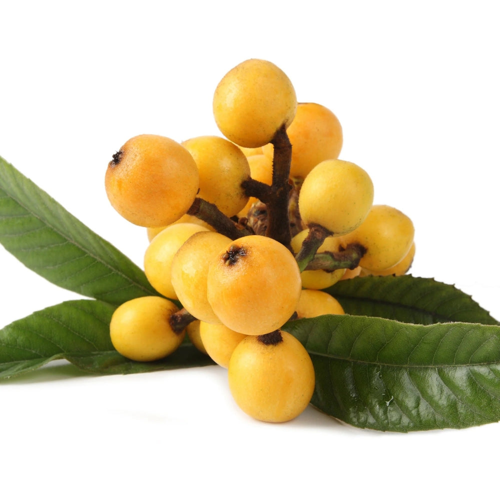 Revitalisant stimulant et nourrissant "Healing Nourish" - Pour tous les types de cheveux fins et clairsemés (250ml/8.5oz)