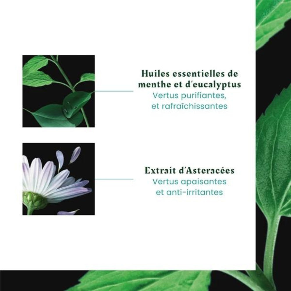 Sérum apaisant fraîcheur "Astera Fresh" aux huiles essentielles - Pour cuir chevelu irrité (75ml/2.5oz)