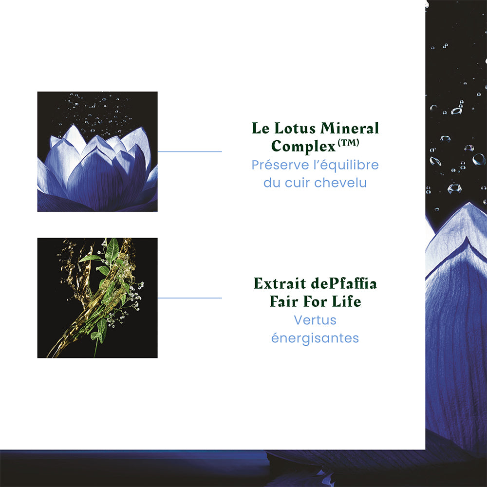 Cure antichute réactionnelle "Triphasic Reational" ampoules + shampoing et baume démêlant (12x5.0ml/0.16oz, 50ml/1.69oz, 30ml/1.0oz)
