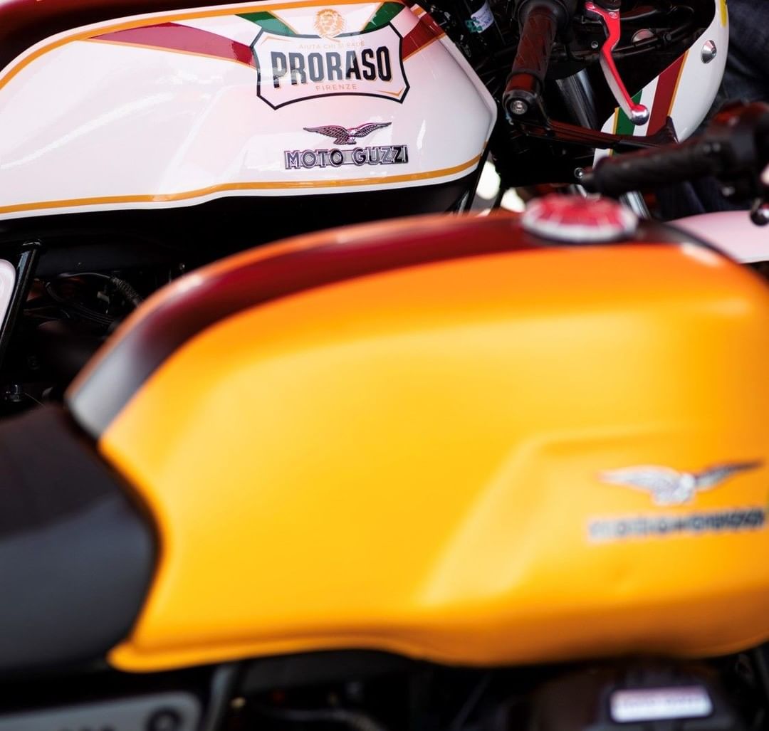 Shampooing pour la barbe Bois & Épices (200ml/6.8oz)