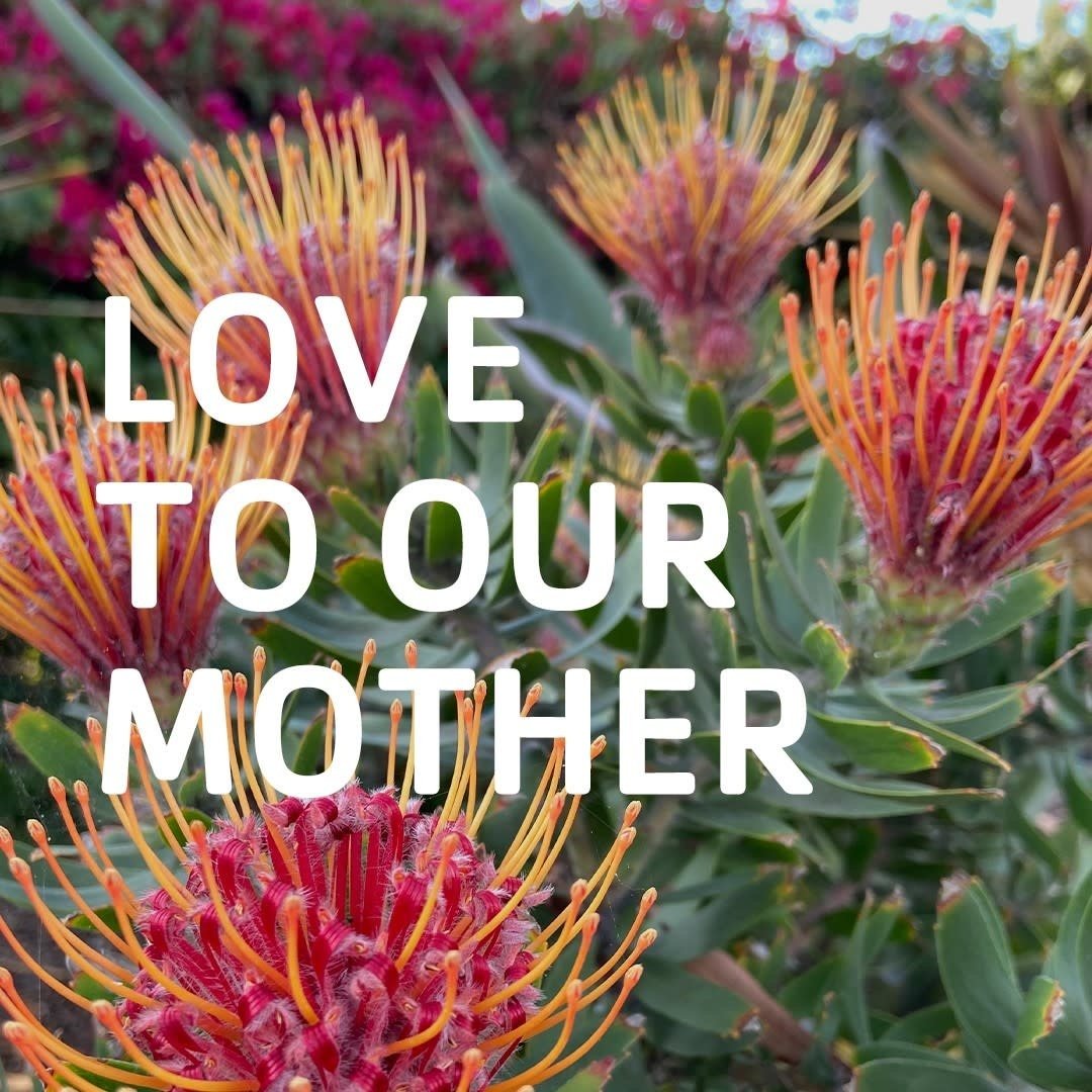 Shampoing couleur "Special Color" - Revigorant anti-terne