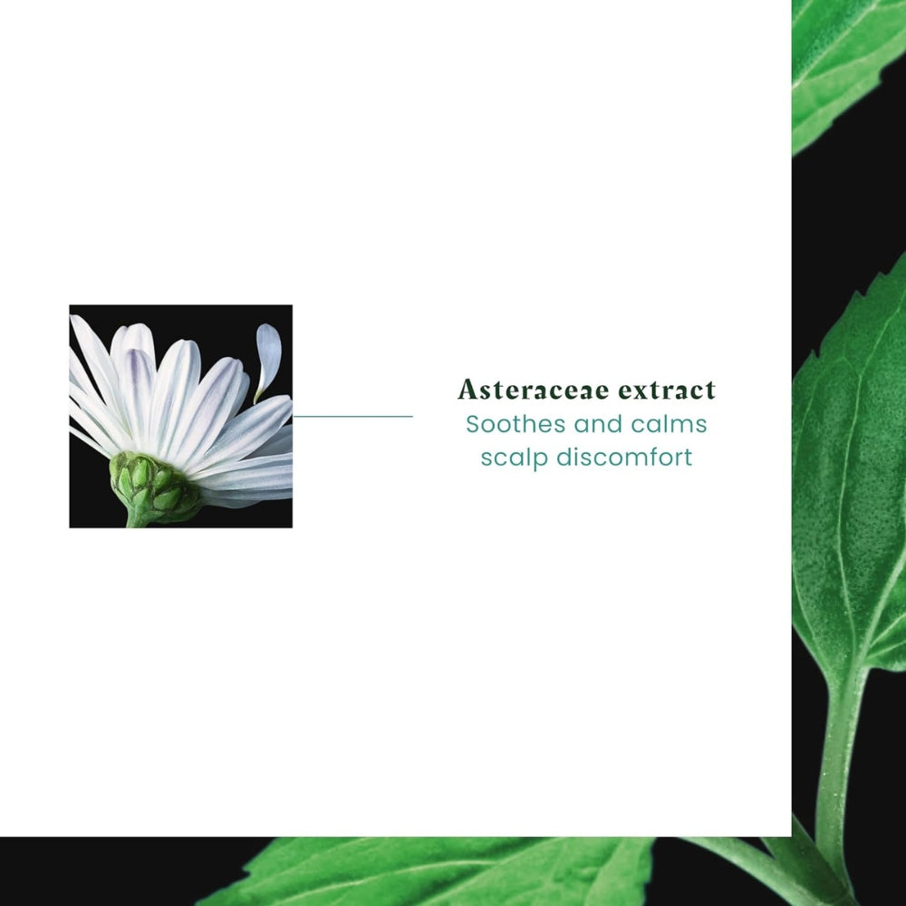 Shampoing dermo-protecteur haute tolérance "Astera Sensitive" hypoallergénique  - Pour cuir chevelu sensible