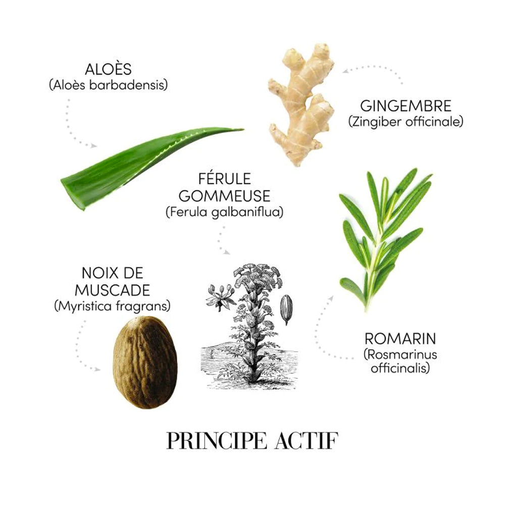 Ensemble "Solution Antipellicules Puroxine" Shampoing et Lotion purifiante pellicules libres - Pour cuir chevelu avec problème de pellicules (250ml/8.45oz et 100ml/3.38oz)