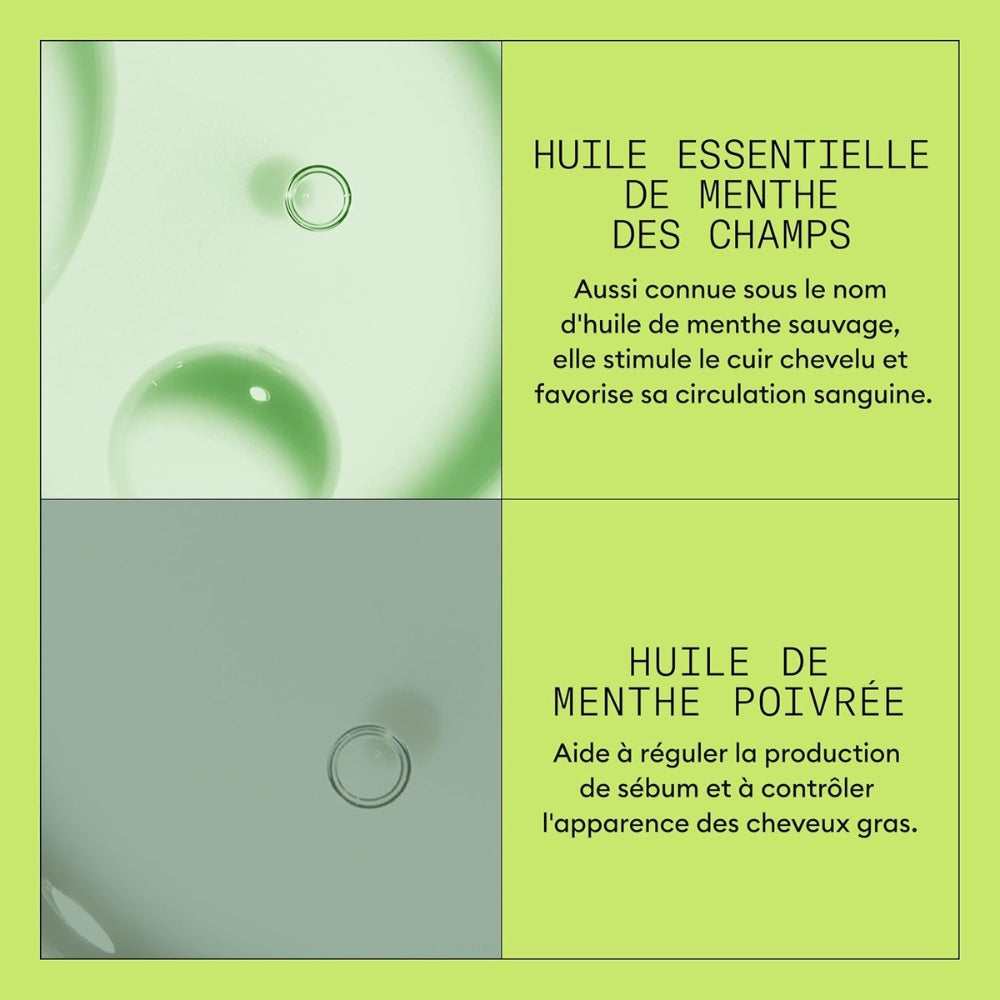 Duo shampoing et revitalisant cheveux + cuir chevelu Système 2 - Pour cheveux naturels avec chute avancée (2x 1000ml/33.8oz)