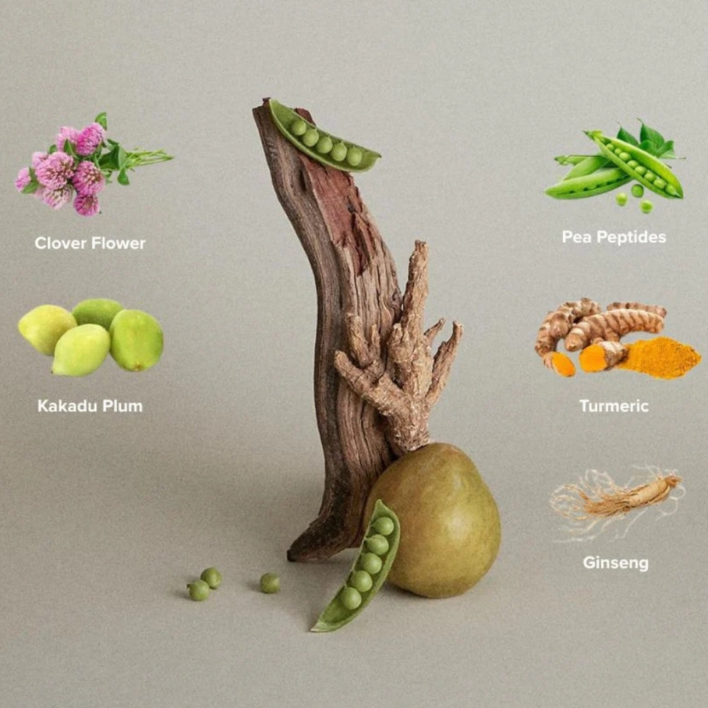 Mousse soin des racines et du cuir chevelu - Volume et texture (200ml/6.8oz)